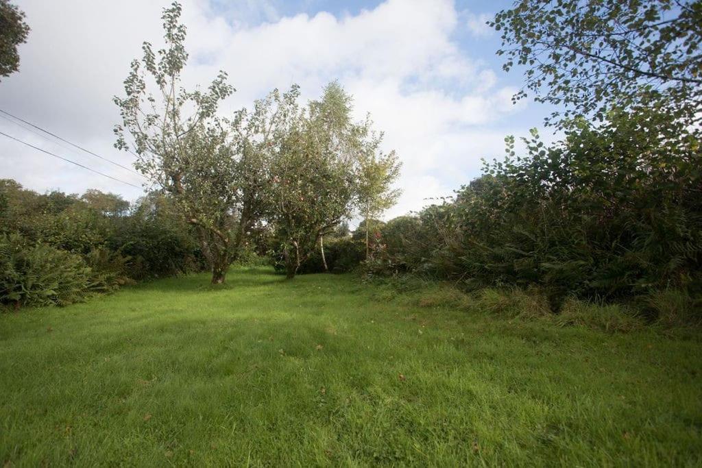 Perfect Cottage Retreat Near The Brecon Beacons Llanwrda Bagian luar foto